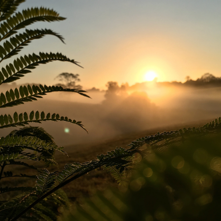 Overwhelmed?: Learning to Pause Before Burnout